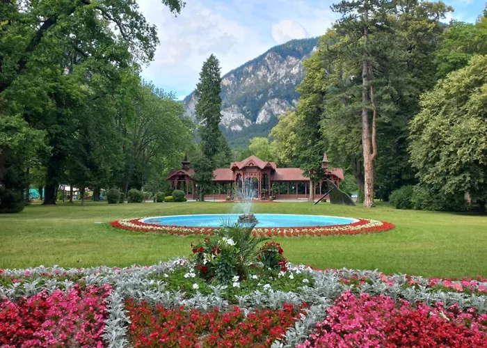 Apartment Detox Payerbach