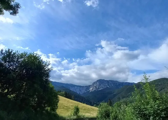 Detox Apartment Payerbach